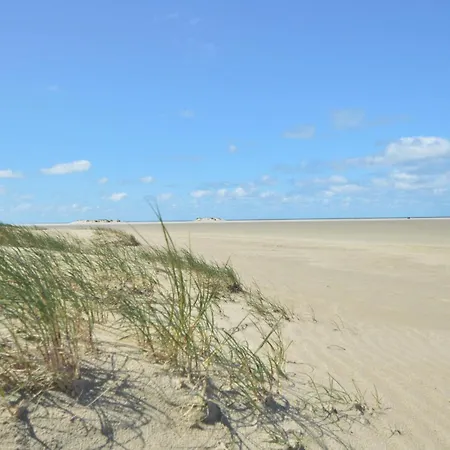 Lakolk Denmark Iv Holiday home Romo